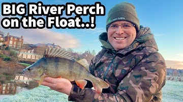 BIG River PERCH on the FLOAT..! RED LETTER Session on the River Severn!