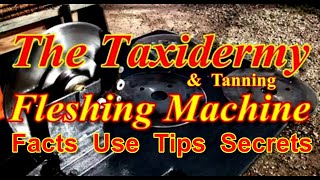 The Tanning and Taxidermy FLESHING MACHINE  Video 175