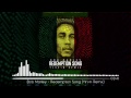 Bob marley  redemption song yirvin remix