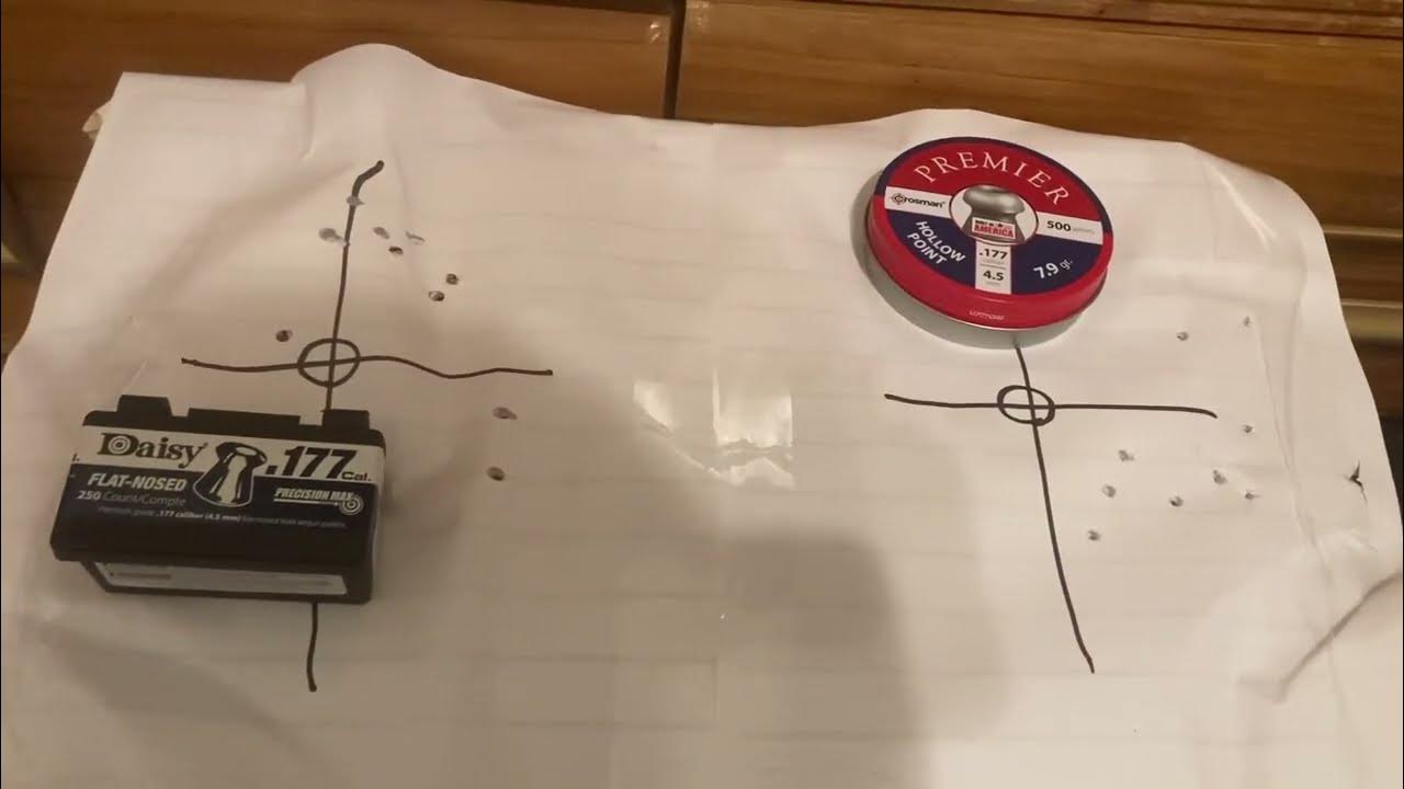 Daisy 177 Pellet Flat Nosed Accuracy Testing vs Crosman Premier Hollow