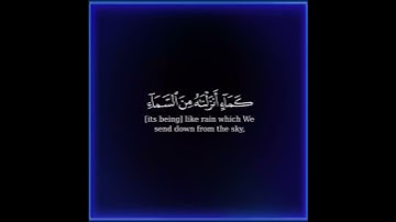 كرومة شاشة سوداء بصوت الشيخ #خالد_الجليل#سورة_الكهف