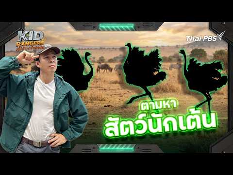 ตามหาสัตว์นักเต้น | Kid Rangers ปฏิบัติการเด็กช่างคิด