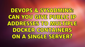 Can you give public IP addresses to multiple Docker containers on a single server?