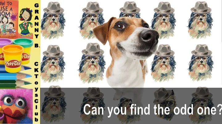 The odd one out. 3 easy  picture puzzles  with answers. by Granny B. CKToysClub