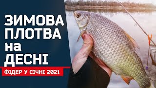 ЗИМОВА ПЛОТВА НА ДЕСНІ. ФІДЕР У СІЧНІ 2021.