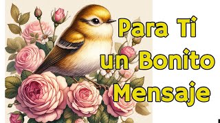 Este Mensaje es Para Ti con Frases Bonitas Reflexión DIOS para ti Motivación Reflexiones