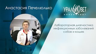 Вебинар "Микоплазмоз, хламидиоз, герпес. Патогенез и диагностика", лектор Анастасия Печелюлько