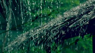 NO AD 2 HOUR LONG Heavy RAINING SOUND | Instant sleep therapy | Relax your mind