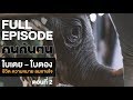 คนค้นฅน : ใบเตย-ใบตอง ชีวิต ความหมาย ลมหายใจ (2) l FULL (1 ก.พ.62)