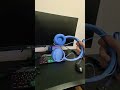 Philips Kids Headphones for School 🎧 $0.99 Unboxing &amp; First Impression
