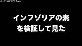 インフゾリアの素を検証して見た