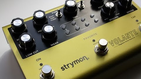 Strymon Volante  -  soundscaping loop with Elektron Digitakt