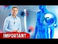 Calcium and Your Immune System: IMPORTANT