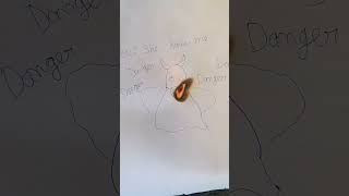 7 November 2024 Resimi