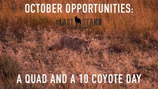 October Opportunities: A Quad and a 10 Coyote Day | The Last Stand S3:E4 | Nebraska Coyote Hunting