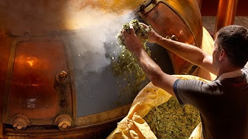 Chemistry of Beer - Unit 7 - Chemical Concepts: Glycolysis