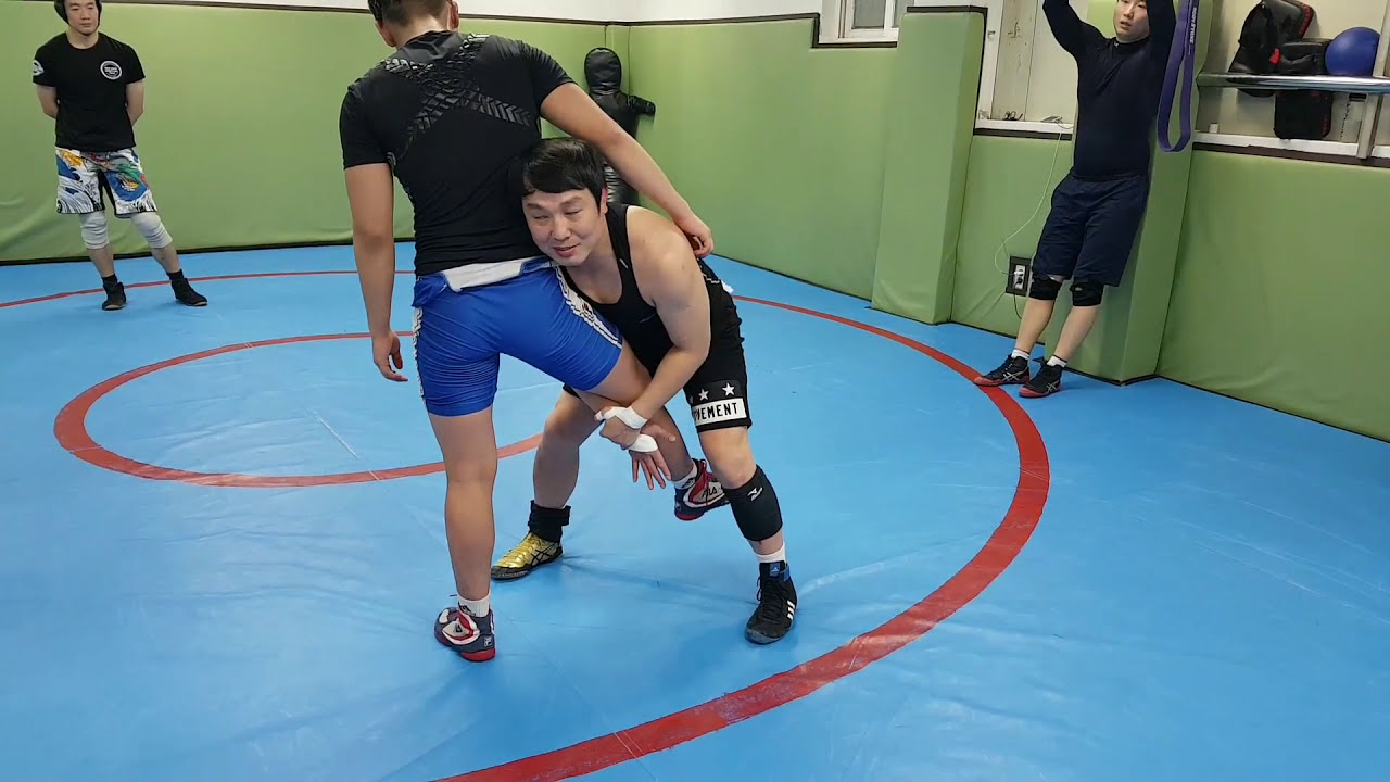 다양한 레슬링 기술