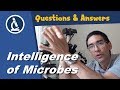 🔬 Are microbes intelligent?