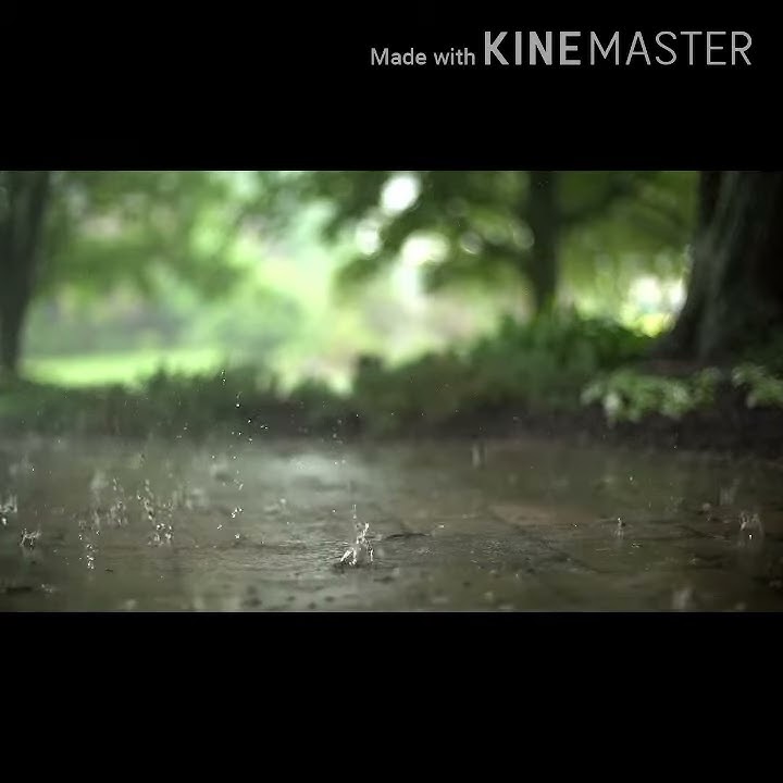 Heavy rains & ethiopian classical