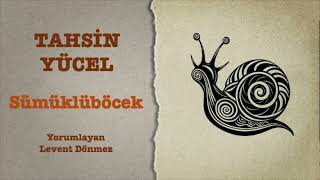 Tahsin Yücel - Sümüklüböcek