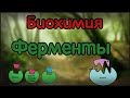 Биохимия. Лекция 21. Ферменты. Part 1.