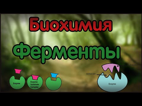 Видео: КПК тест на изоферменты: цель, методика и результаты