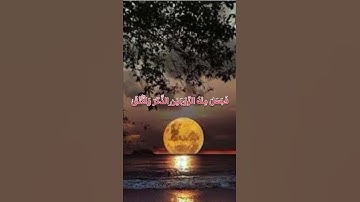 أَيَحْسَبُ الْإِنْسَانُ أَنْ يُتْرَكَ سُدًى❤️#مع_القرآن  #راحة_نفسية #حسن_الظن_بالله #سورة_القيامة