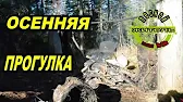 ЛЕСНОЙ ЖИТЕЛЬ