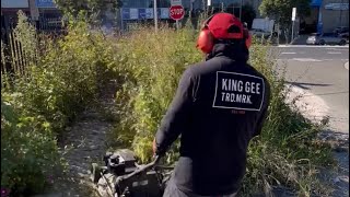 I found Sydney’s most OVERGROWN Curb that hasn’t been touched for years!