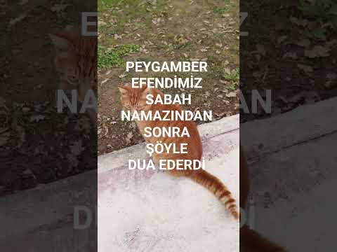 PEYGAMBER EFENDİMİZ SABAH NAMAZINDAN SONRA ŞÖYLE DUA EDERDİ