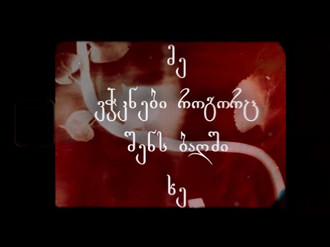 დაგდაგანი - შენს ბაღში ხე (ft. Mari Sharman)