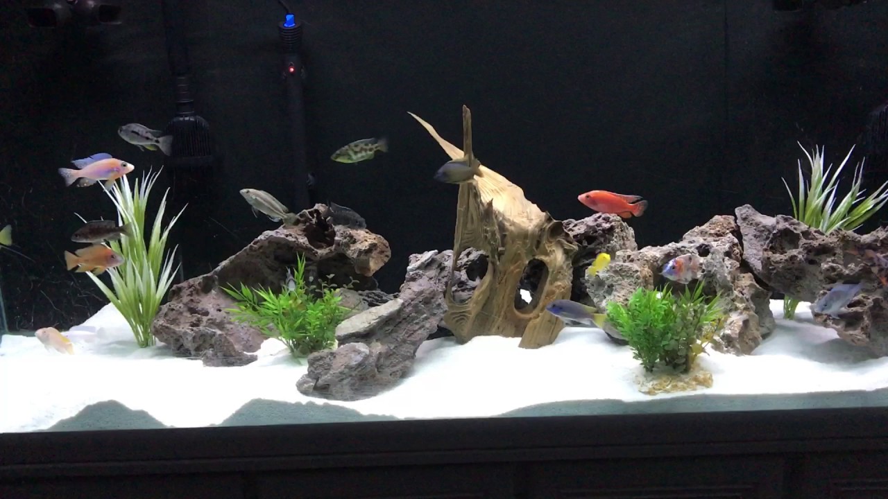 Fluval Aqua Sky LED Light