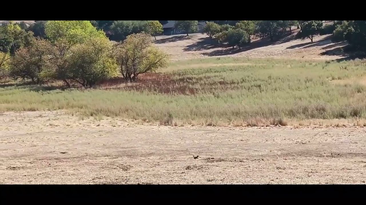 Audiobook | Whispers of the Forgotten World: A Journey Through Lost Civilizations - Part 3