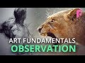 The Most Important Skill Nobody Taught You - Observation