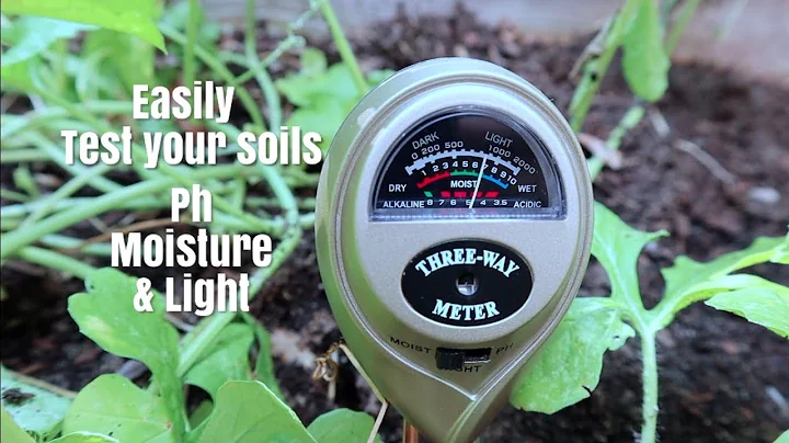 How to measure your soil PH | Cheap and Easy