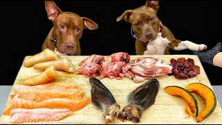 Pitbull Raw Feeding ASMR | Best Dog Eating Sounds
