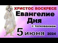 Евангелие дня с толкованием 5 июня  ХРИСТОС ВОСКРЕСЕ