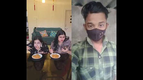 Video 11435551: cat best funny animal