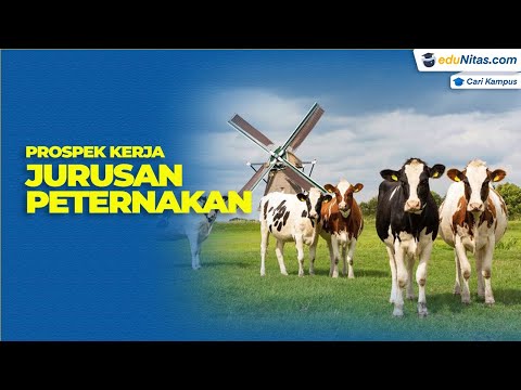 Video: Apa yang dilakukan pemerintah tentang peternakan?