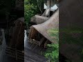 Top 3 Budget Safari Lodges In South Africa рџЏ пёЏрџЊЌ Top 3 Budget Safari Lodges In South Africa рџЏ пёЏрџЊЌ