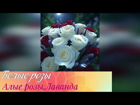 Белые розы Алые розы Лаванда