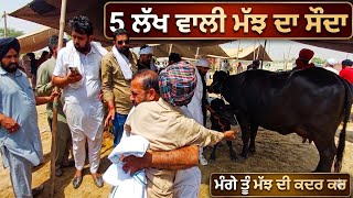 5 ਲੱਖ ਵਾਲੀ ਮੱਝ ਦਾ ਸੌਦਾ Dabwali Pashu Mandi #live_sauda #apnakitta #dairyfarm #panjab 2026