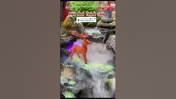 bố trí tiểu cảnh sân vườn 1