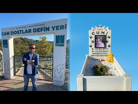 MEZAR TAŞINDAKİ NOT AĞLATTI I EVCİL HAYVANLARA ÖZEL MEZARLIK