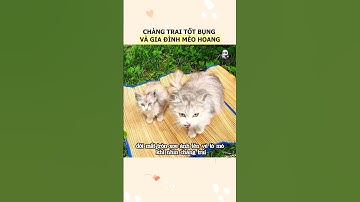 Chàng trai tốt bụng giúp đỡ hai mẹ con mèo đi lạc với vẻ ngoài siêu đáng yêu