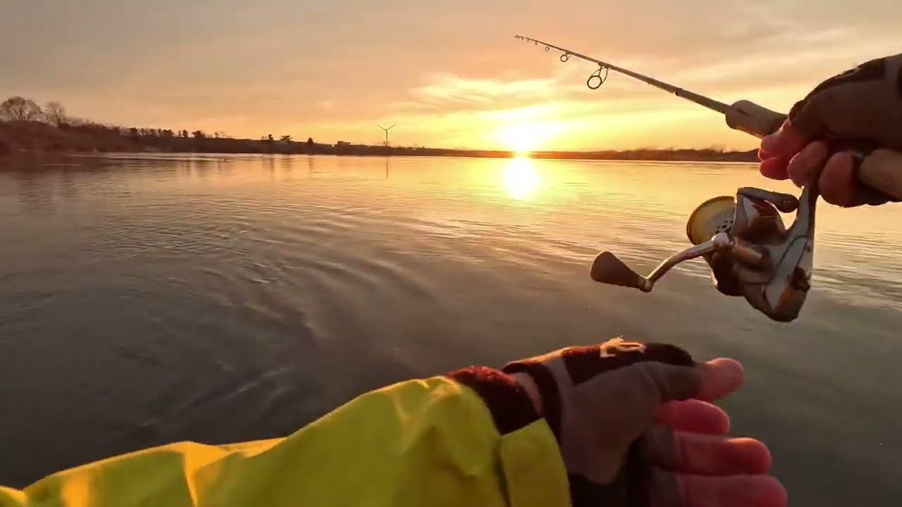 2025 米代川サクラマス解禁　サンセット時の1本目