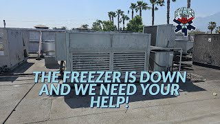THE FREEZER IS DOWN AND WE NEED YOUR HELP!