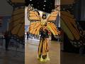 Chicago Build Expo Wows the Crowds at McCormick Place 🏗️
