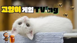 [고양이 TV]  고양이가 좋아하는 영상 | 고양이가 좋아하는 소리 | 1시간 | Cat favorite video | Cat play video | 1hours.