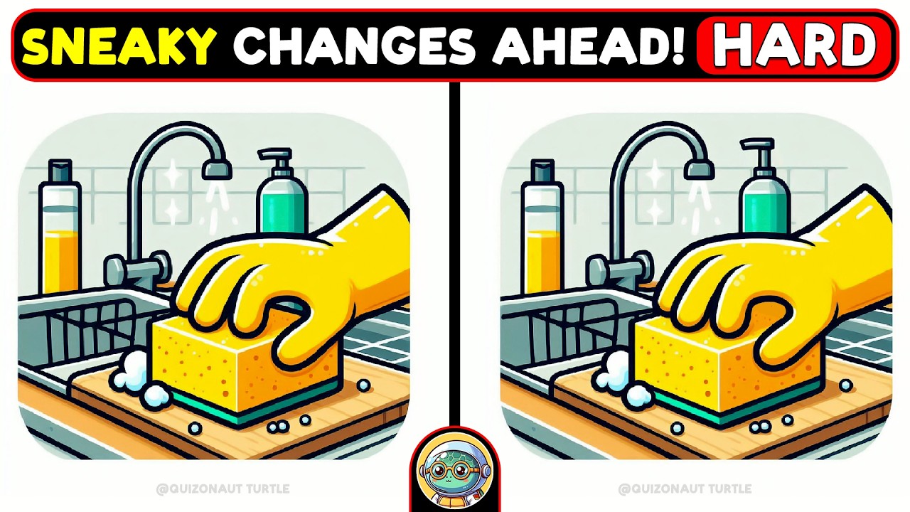 🐢🧩 Spot 3 Differences | Sharpen Your Focus 🧩🐢 | Quizonaut Turtle